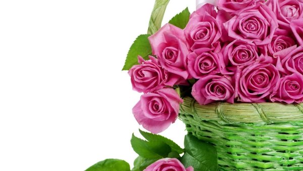 Поздравления с днём рождения