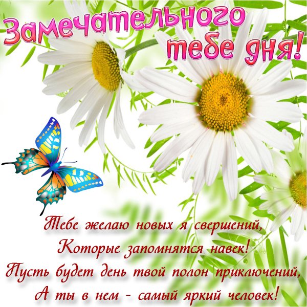 Открытки с пожеланием доброго дня