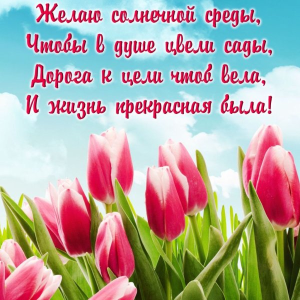 Поздравление со средой