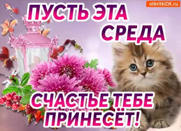 Доброе утро легкого дня