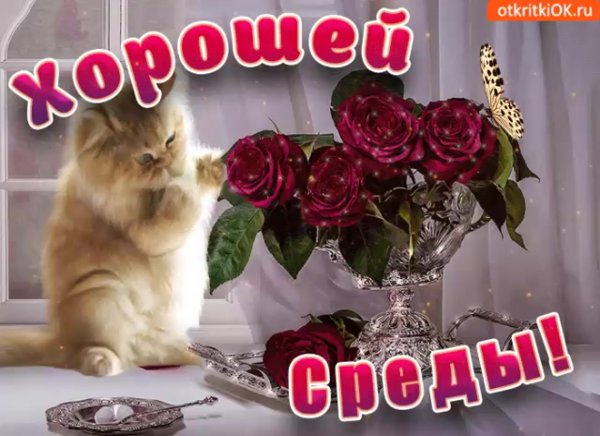 Открытки поздравления со средой