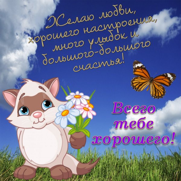 Приятные пожелания