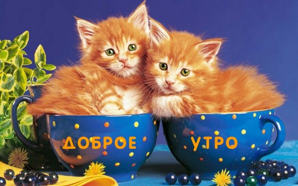 Открытки добрый вечер