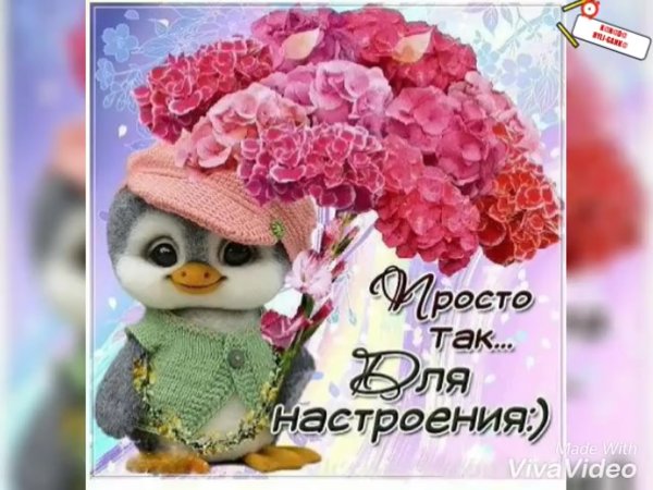 Открытка женщине просто так для настроения