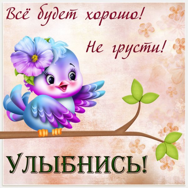 Открытки для поднятия настроения