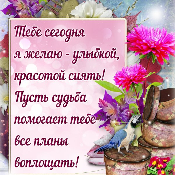 Открытки с пожеланиями
