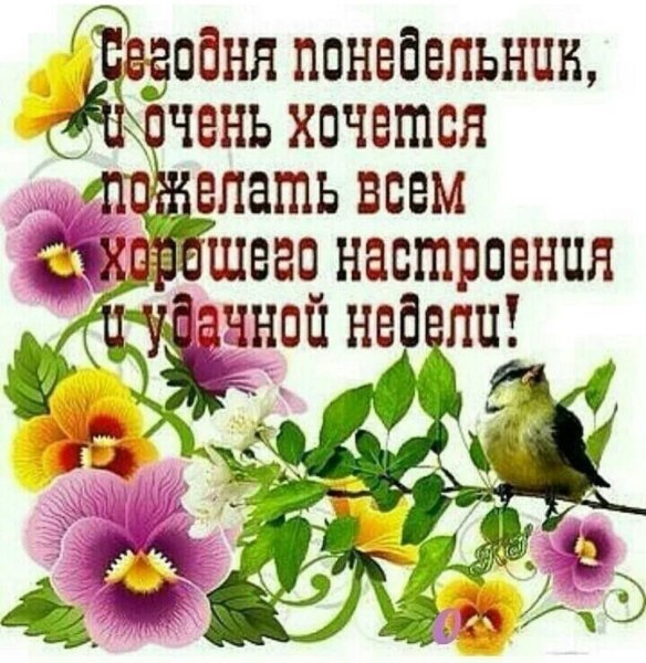 Пожелания на понедельник