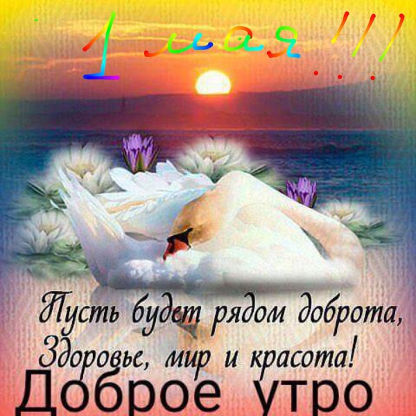Доброе утро Светлана