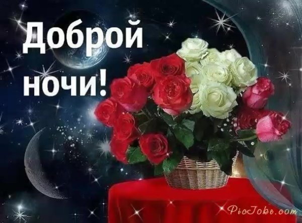 Спокойной ночи