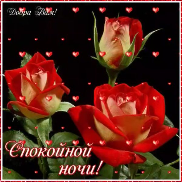 Чудесного вечера и спокойной ночи