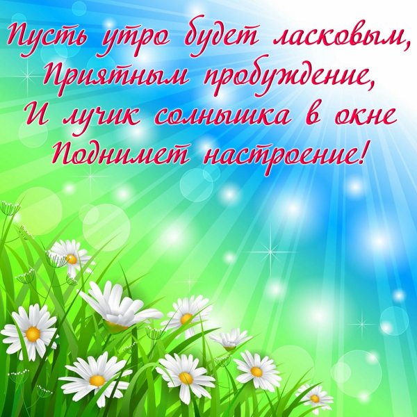 Пожелания с добрым утром с ромашками