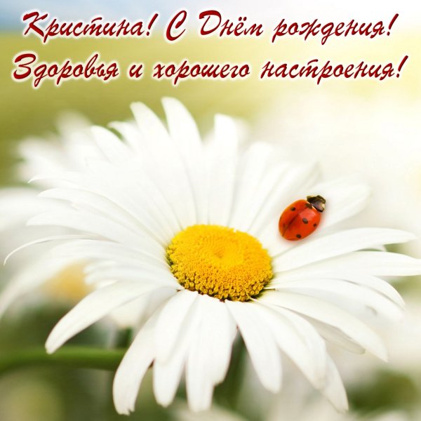 С днём рождения мамочка ромашки