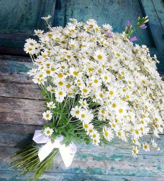 Красивый букет из ромашек