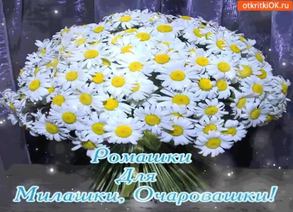 Ромашкидля Очировашке