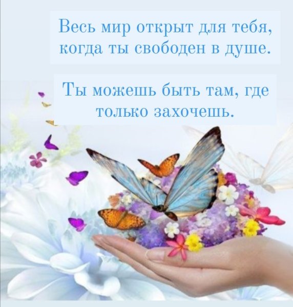 Бабочки с пожеланиями