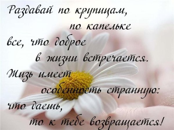 Ромашка добрых дел