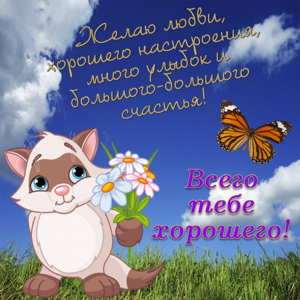 Приятные пожелания