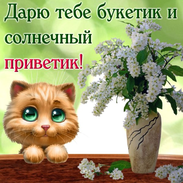 Приветствие с добрым днем