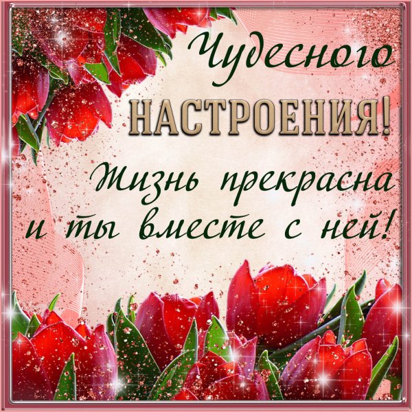 Прекрасного настроения и хорошего дня