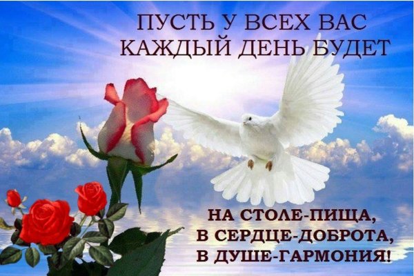 Голубь счастья