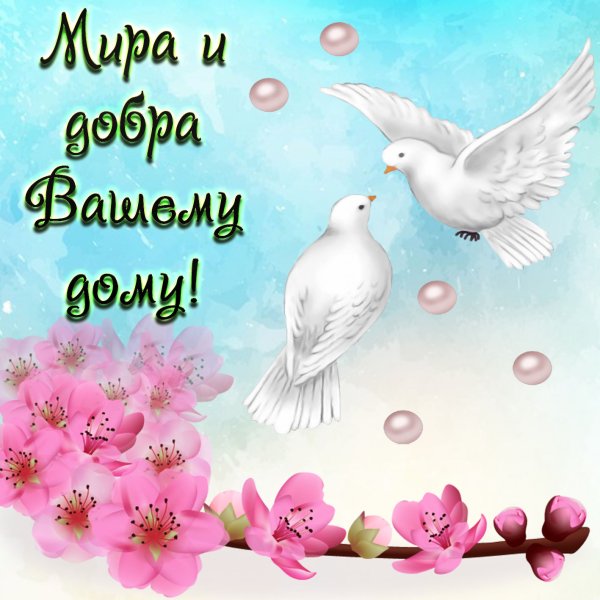 Путешествия по миру