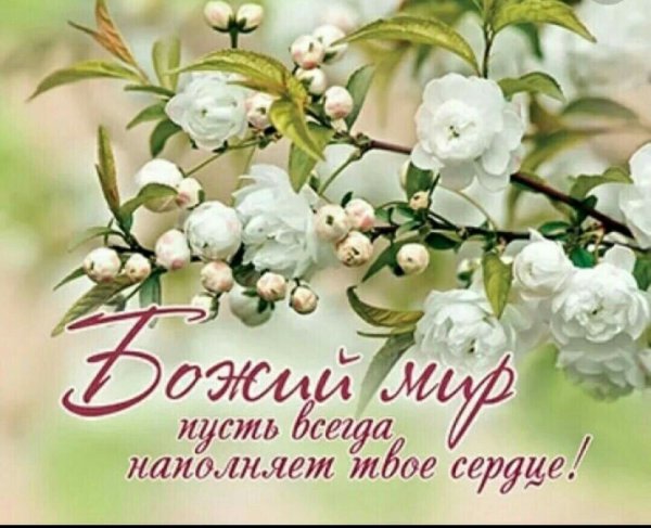 С праздником 1 мая мира, счастья