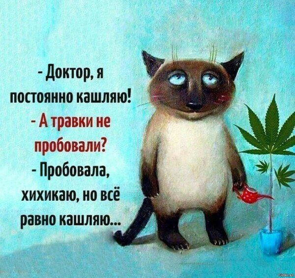 Доктор я кашляю а вы травку пробовали