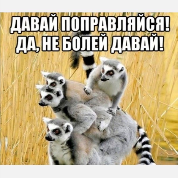 Пожелания выздоровления