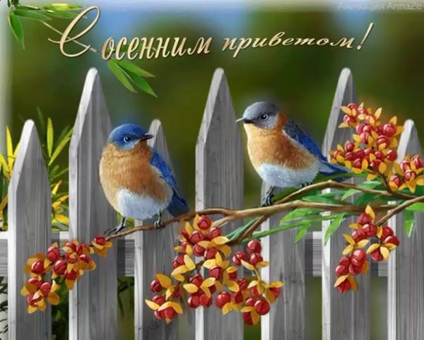 Доброе осеннее утро с птицами