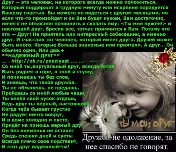 Стихи о поддержке друзей