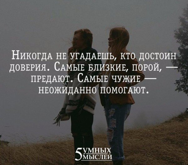 Поддержка цитаты высказывания