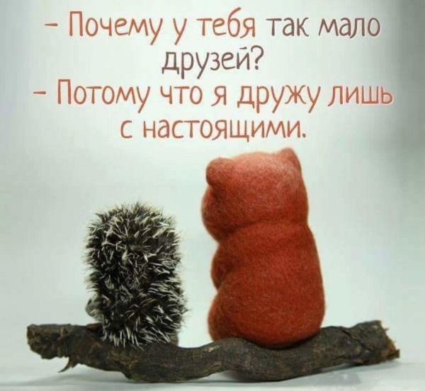 Открытки чтобы поддержать в трудную минуту