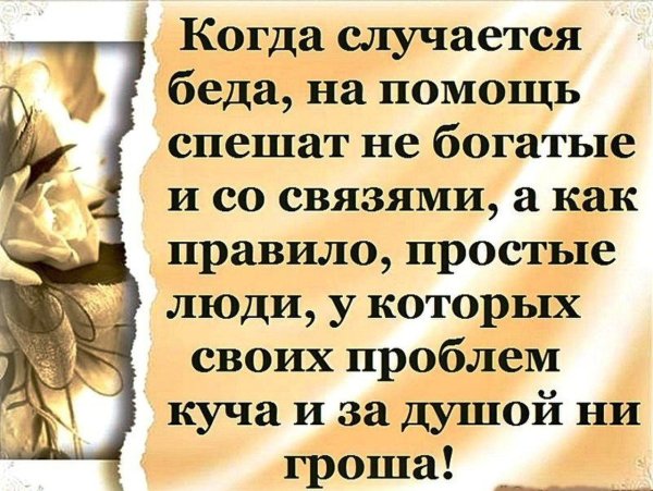 Поддержка цитаты и афоризмы