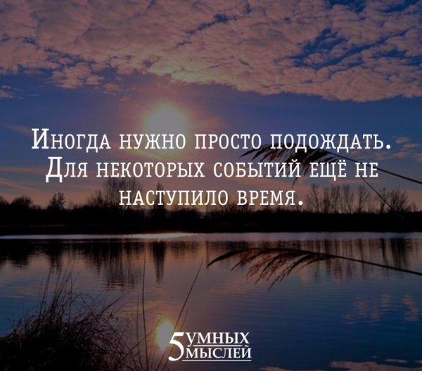 Просто цитаты