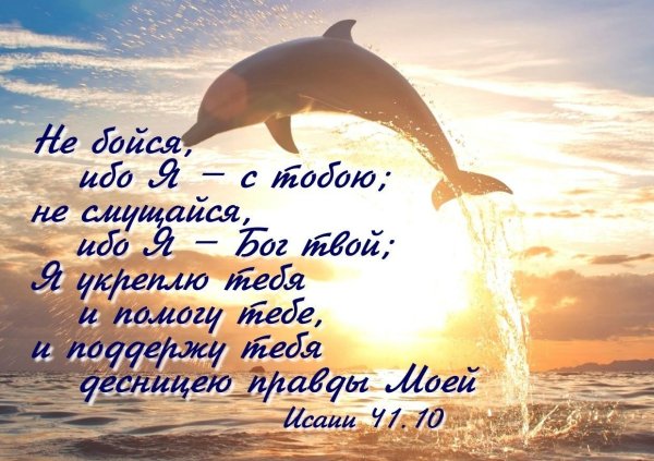 Открытки со стихами из Библии
