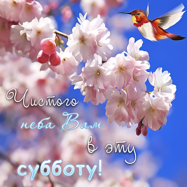 Открытки поздравления с субботой