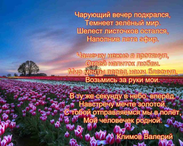 Вечерний вечер стих