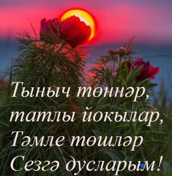 Картинки с пожеланиями спокойной ночи на татарском языке (48 фото)