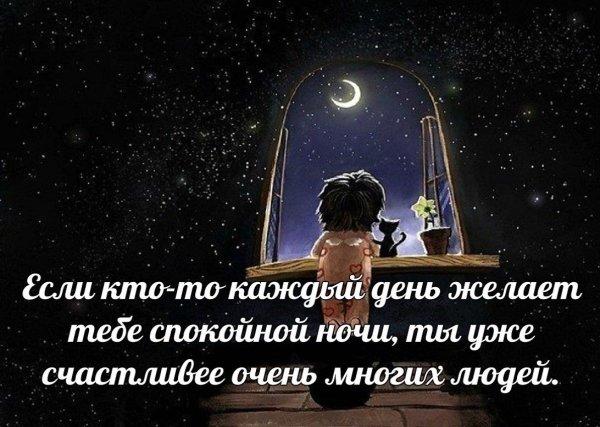 Доброй ночи цитаты