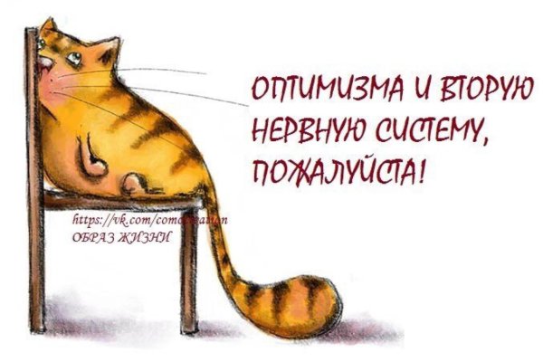 Позитивные статусы для поднятия настроения