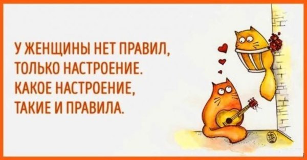 Смешные открытки для поднятия настроения