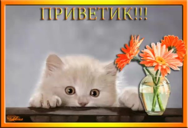 Приветик анимация
