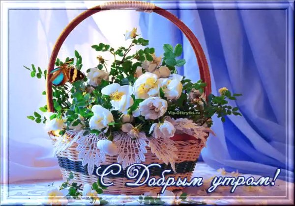Корзинка счастья