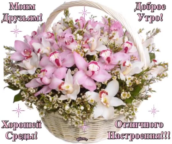 Огромный букет орхидей