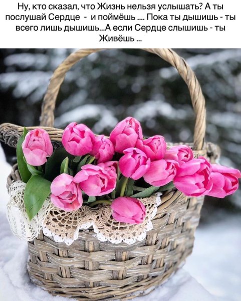 Корзина роз