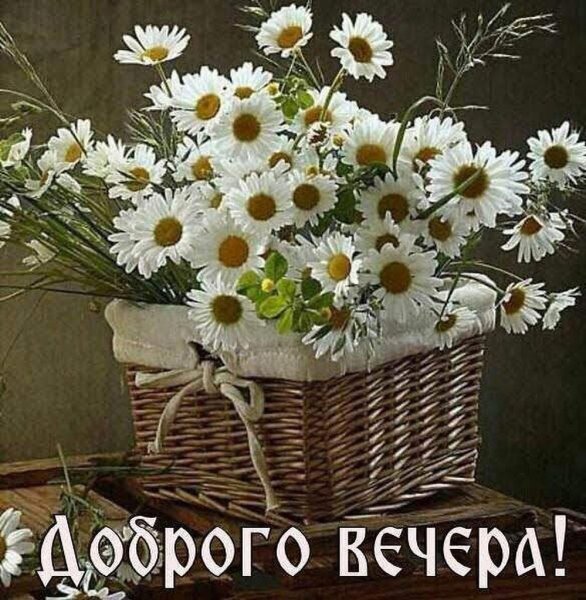 Красивые пожелания