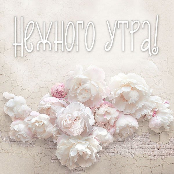 С днём рождения желаю счастья здоровья