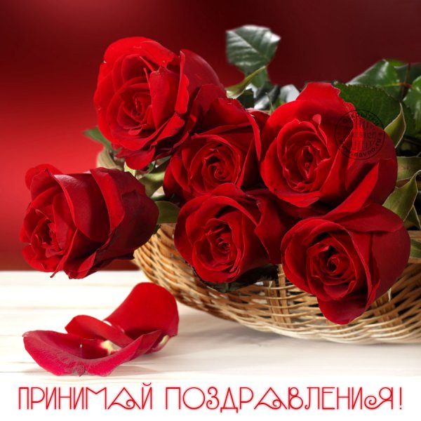 Букет роз открытка
