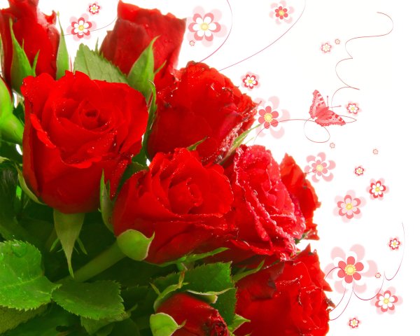 Открытки цветы розы