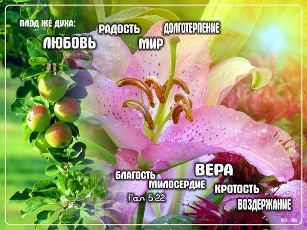 Христианские пожелания в картинках